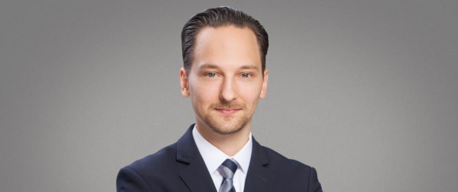Portrait David Herz